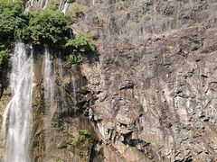 -上海辰山植物园