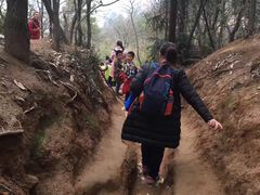 -灵岩山风景区