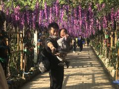 -呀路古热带植物园