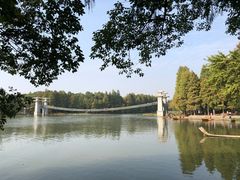 -东湖落雁景区