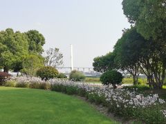 -上海山野camping·户外天幕烧烤·团建拓展营地