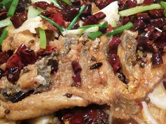 -老板恋上鱼(荣盛广场店)