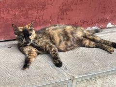 -长春观
