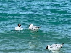 -青海湖二郎剑景区