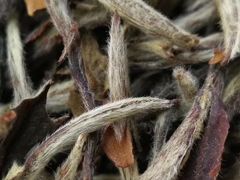 -养心斋涵信茶艺茶道培训