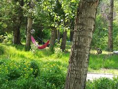 -长春市南湖公园