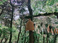 -沂蒙山旅游区云蒙景区(蒙山国家森林公园)