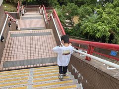 -香港大学