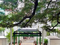 -九龙公园