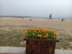 -青岛第二海水浴场