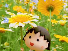 -白云山风景名胜区