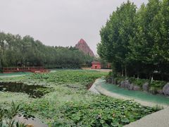 -郑州方特梦幻王国