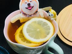 -逗柴咖啡屋·狗咖猫咖宠物桌游