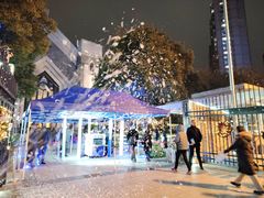 -杭州基督教会崇一堂