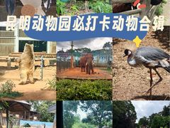 -昆明动物园