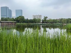 -西海子公园