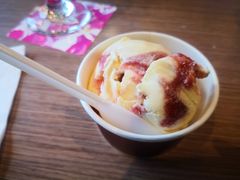-哈根达斯(石家庄北国店)