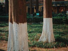 -T80科技文化国际社区-停车场