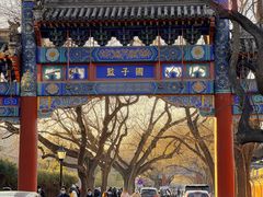 -北京国子监胡同