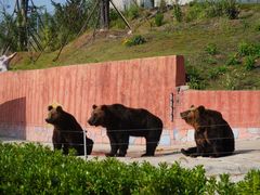 -南京金牛湖风景区