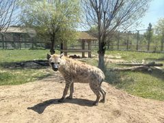 -鄂尔多斯野生动物园