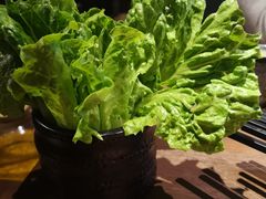 -快乐小羊·内蒙牛羊肉火锅(流花中心店)