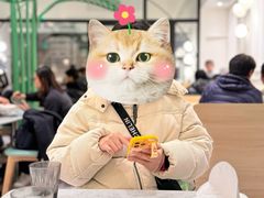 -南小馆(迪士尼小镇店)