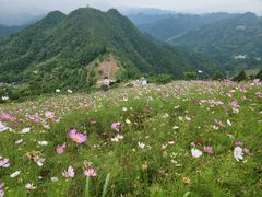 -石潭村