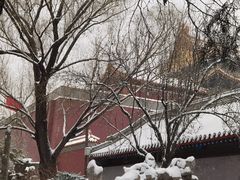 -北京市劳动人民文化宫(太庙)