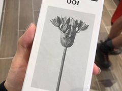 -巴塞罗那约瑟·塔拉德利亚斯-埃尔·普拉特机场