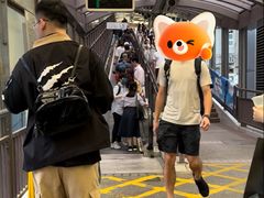 -中环半山扶手电梯