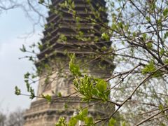 -玲珑塔公园