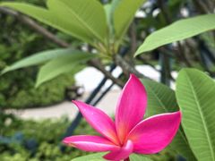 -三亚南山文化旅游区