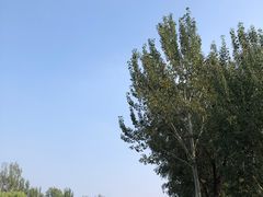 -东郊湿地公园
