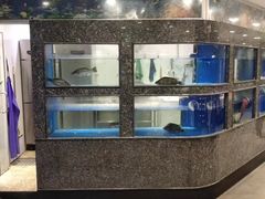 -紫光园(顺义店)