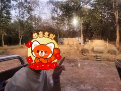 -清迈夜间动物园