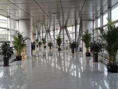 -上海中医药大学附属曙光医院(东部)