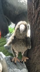 -IMON·HANSA潮玩玩偶毛绒玩具(通州万象汇店)