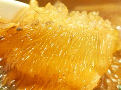 -大中鱼翅 Taitong Shark Fin