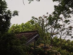 -杭州植物园
