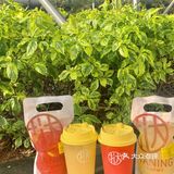 深圳探店｜芭楂莓莓新品只需1r 