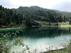 -武陵山森林公园