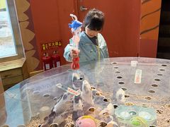 -大连圣亚海洋世界