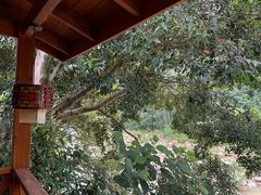 -四会奇石河风景区