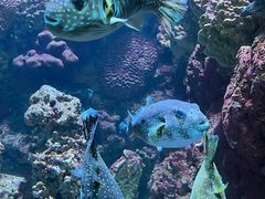-海合安青岛极地海洋公园