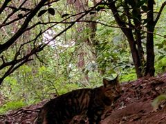 -狼山风景名胜区