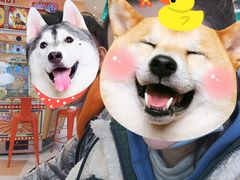 -汤姆熊欢乐世界(罗斯福店)