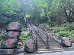 -茅兰沟国家森林公园