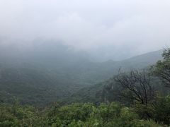 -大岭沟猕猴桃谷风景区