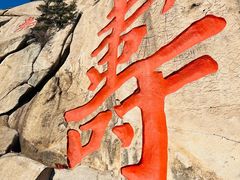 -崂山仰口游览区
